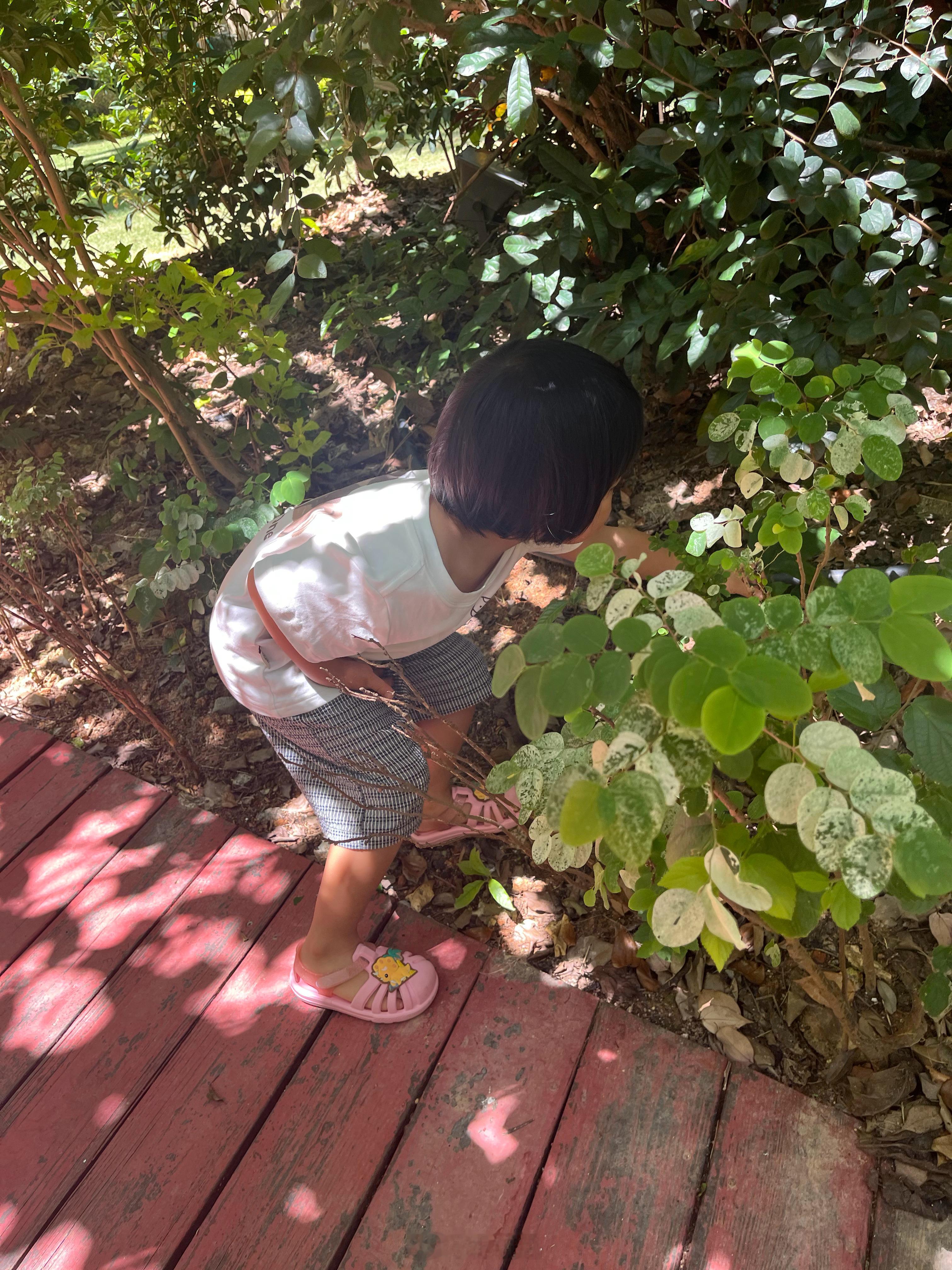 压压带下楼了球宝这鞋真是难看到我了（虽然我在卖），但孩子自己很喜欢，坚持要安装这