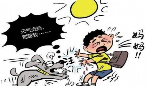 河南平顶山学院，一女大学生在校园里正常走路，谁知，突然窜出来四五条流浪狗，对她围