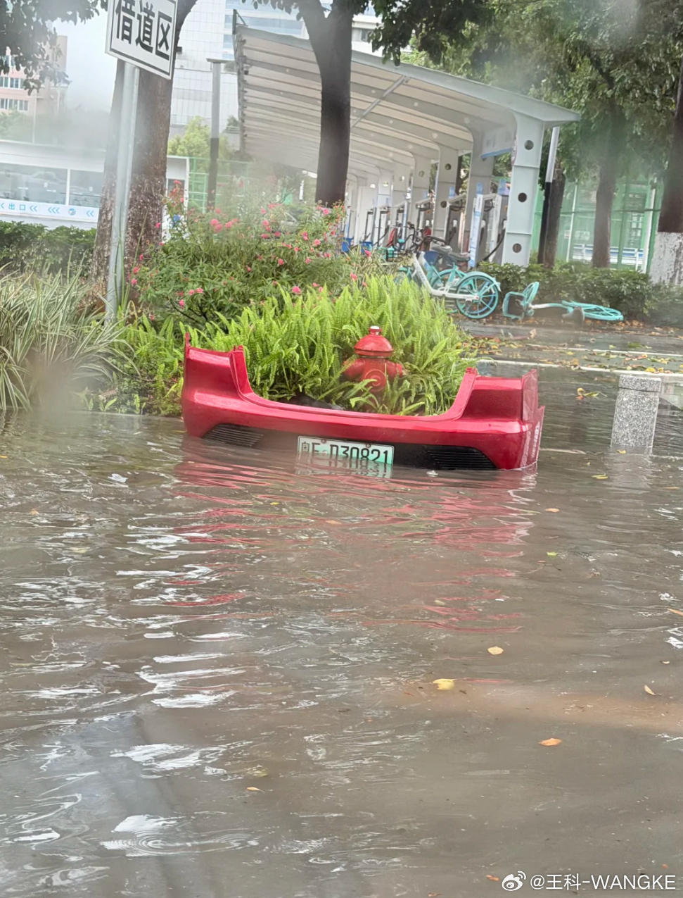 粤ED30821 车主，您的车尾在找您！ 