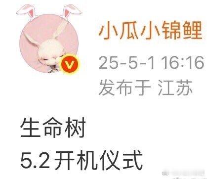 生命树正式开机一切顺利哦 ​​​