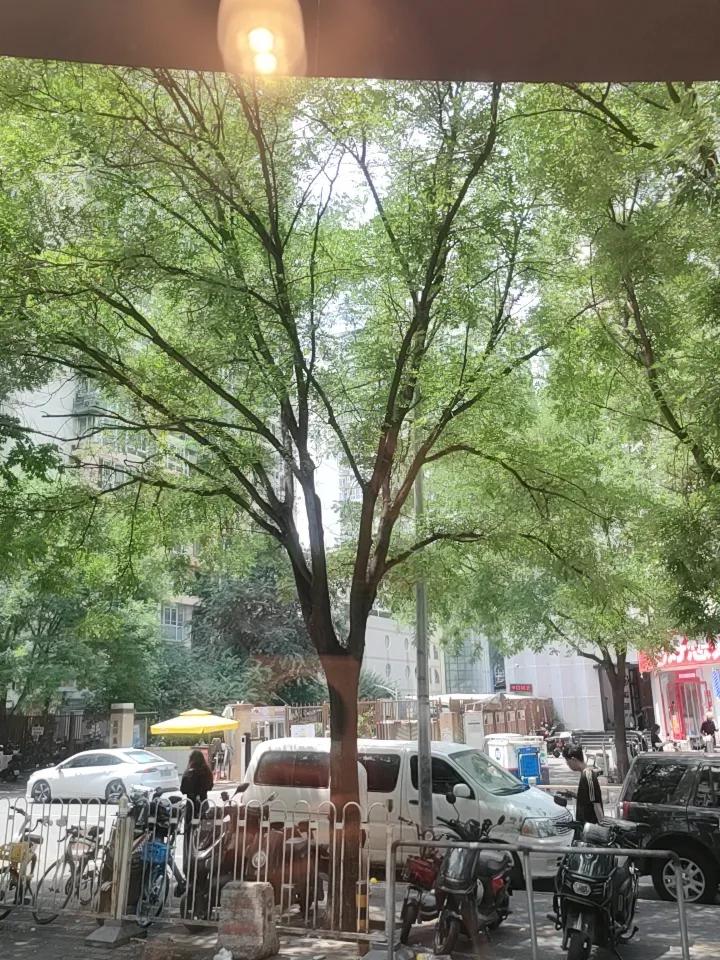下一部手机，你会买苹果还是华为我会买华为，我这么多年一直在用华为支持国货。
