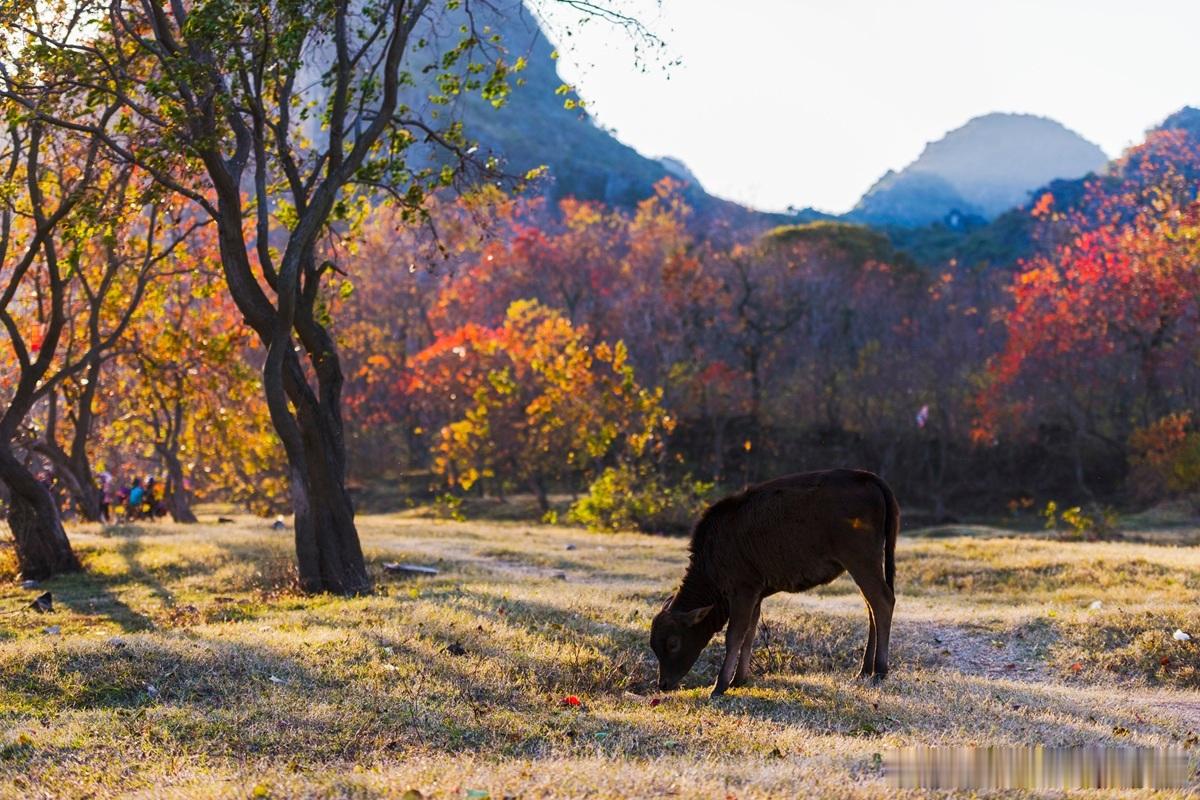 数智时代，要科学家、工程师和技术经理人、投资人多方协同新技术的优势如果不能转为产