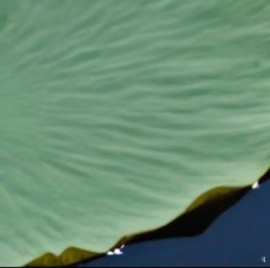 每日一善[超话] 乐于助人，是心灵的温暖，是生活的甜蜜。伸出援手，传递正能量，让