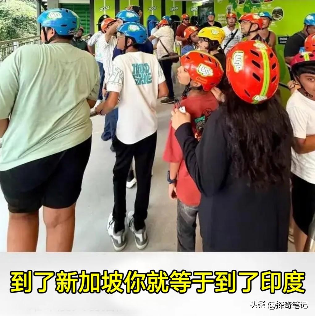 在新加坡的一辆公交车上你看到的都是印度人，竟然没有一个是新加坡人。其实这并不奇怪