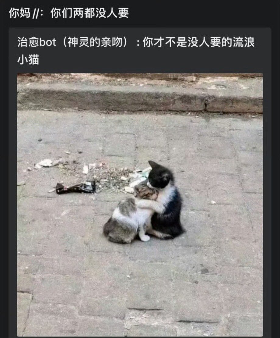 猫好人坏 ​​​