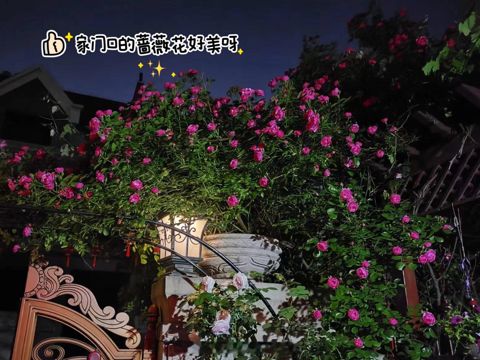 ✨四月plog丨安徽快乐碎片 回家给爸妈过三十周年珍珠婚咯！！去拍了全家福（叮叮