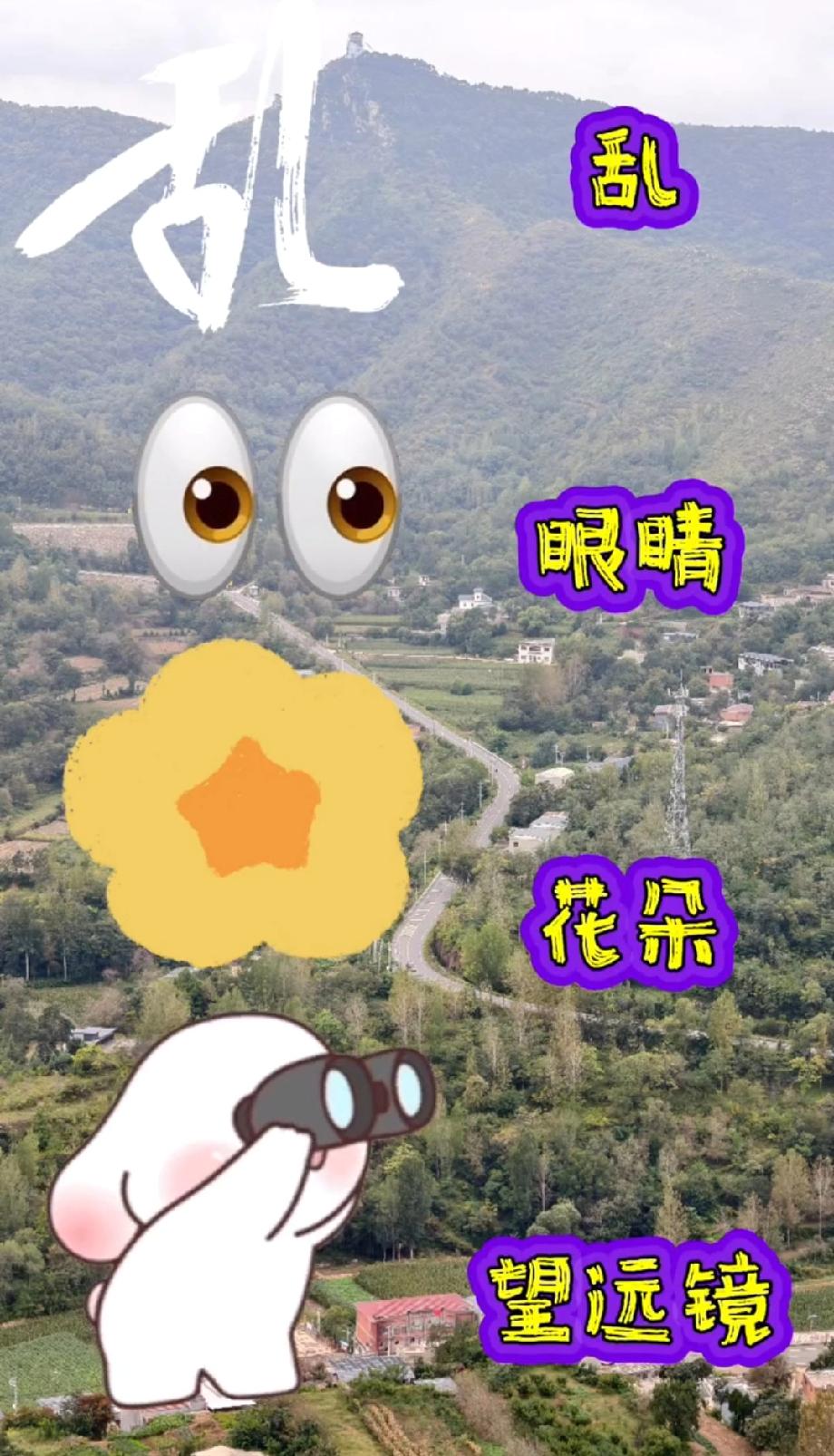 两个“乱”+眼睛+花朵+望远镜=啥成语？我猜了3次都没对，评论区有“成语大神”吗