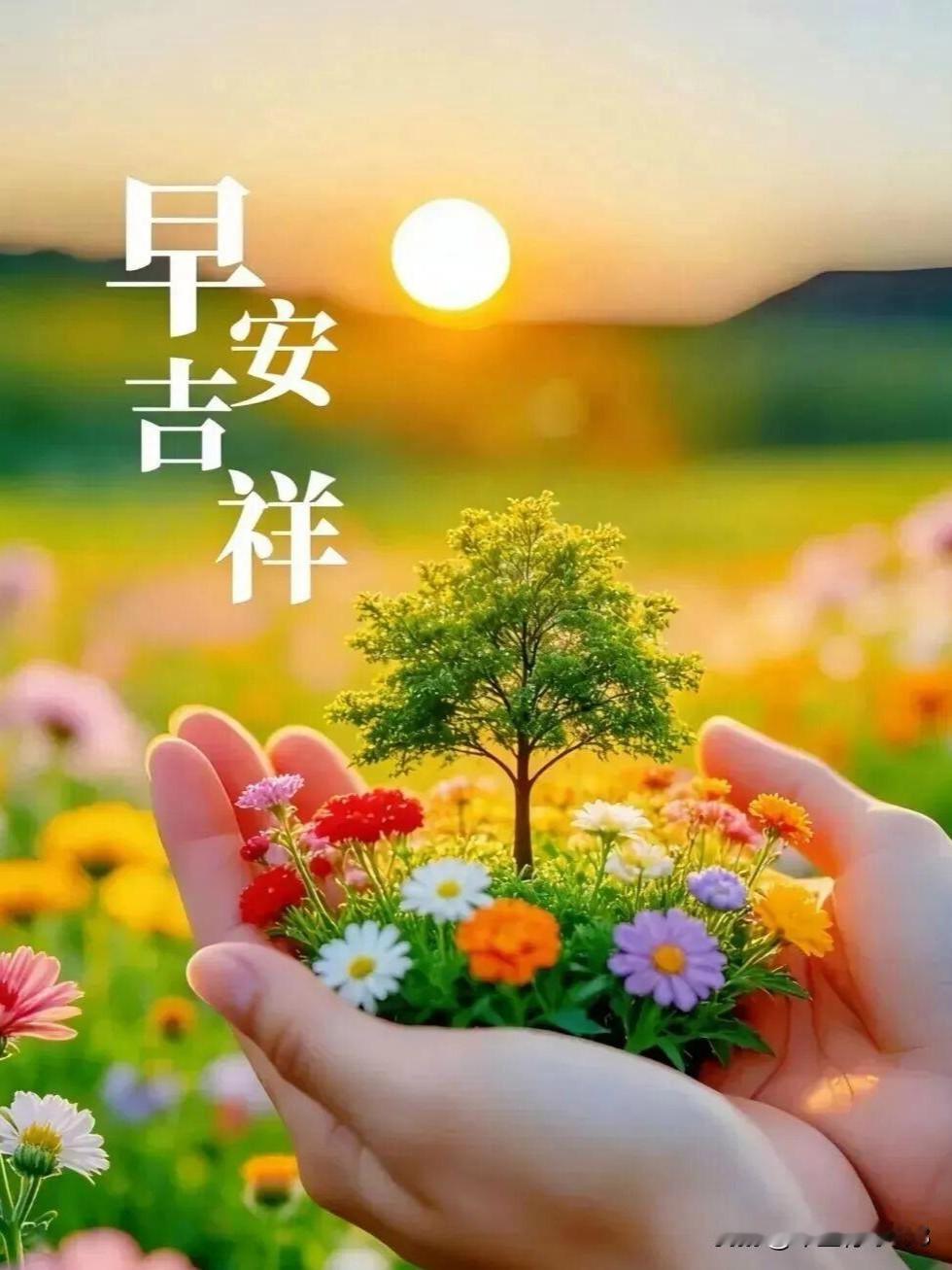 🌺祝福大家周三快乐🌺
新的一天，愿你迎着阳光前行，向着温暖奔赴。不被往事牵绊