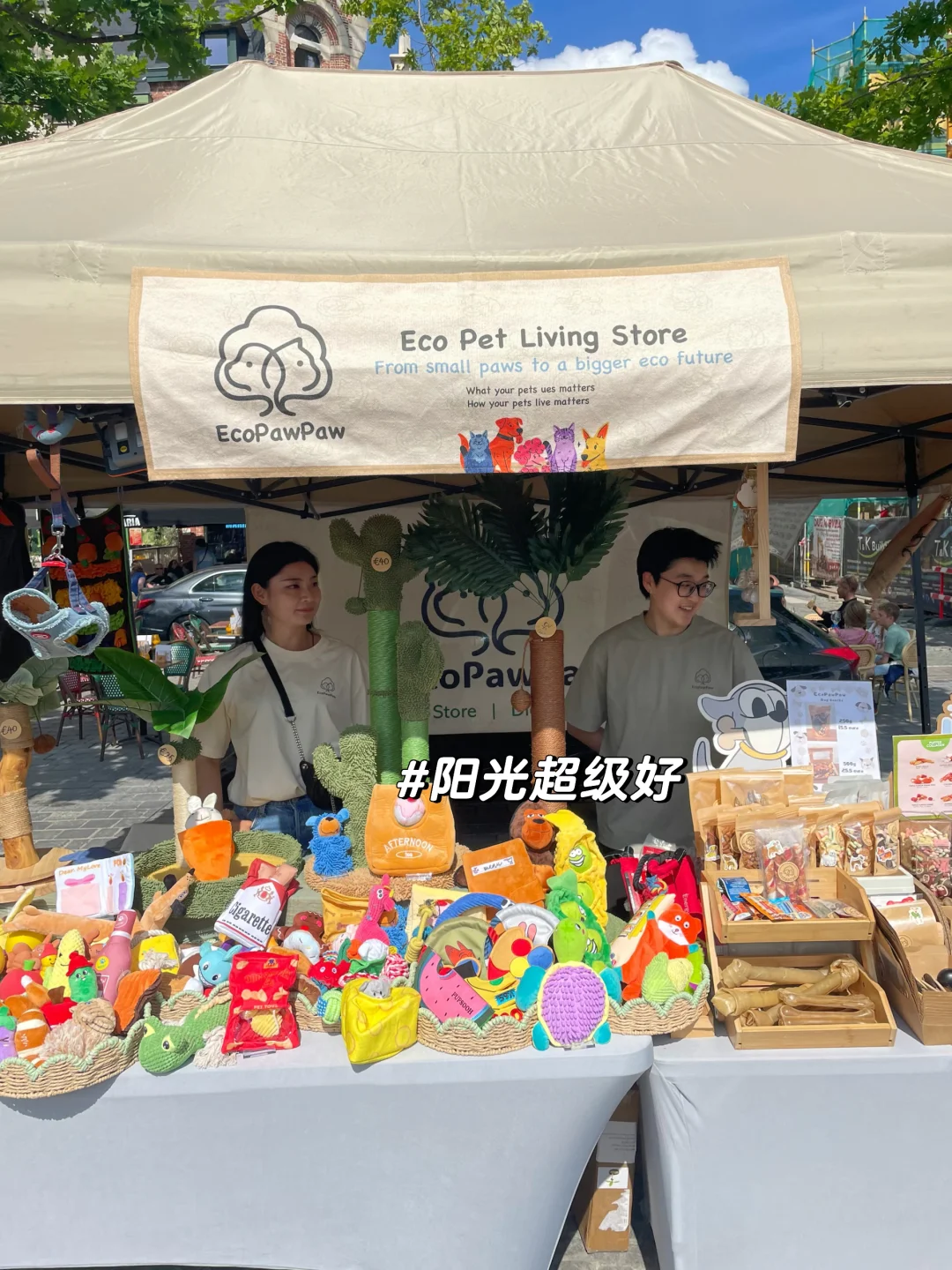 EcoPawPaw周六集市｜世界不能没有小狗和小猫