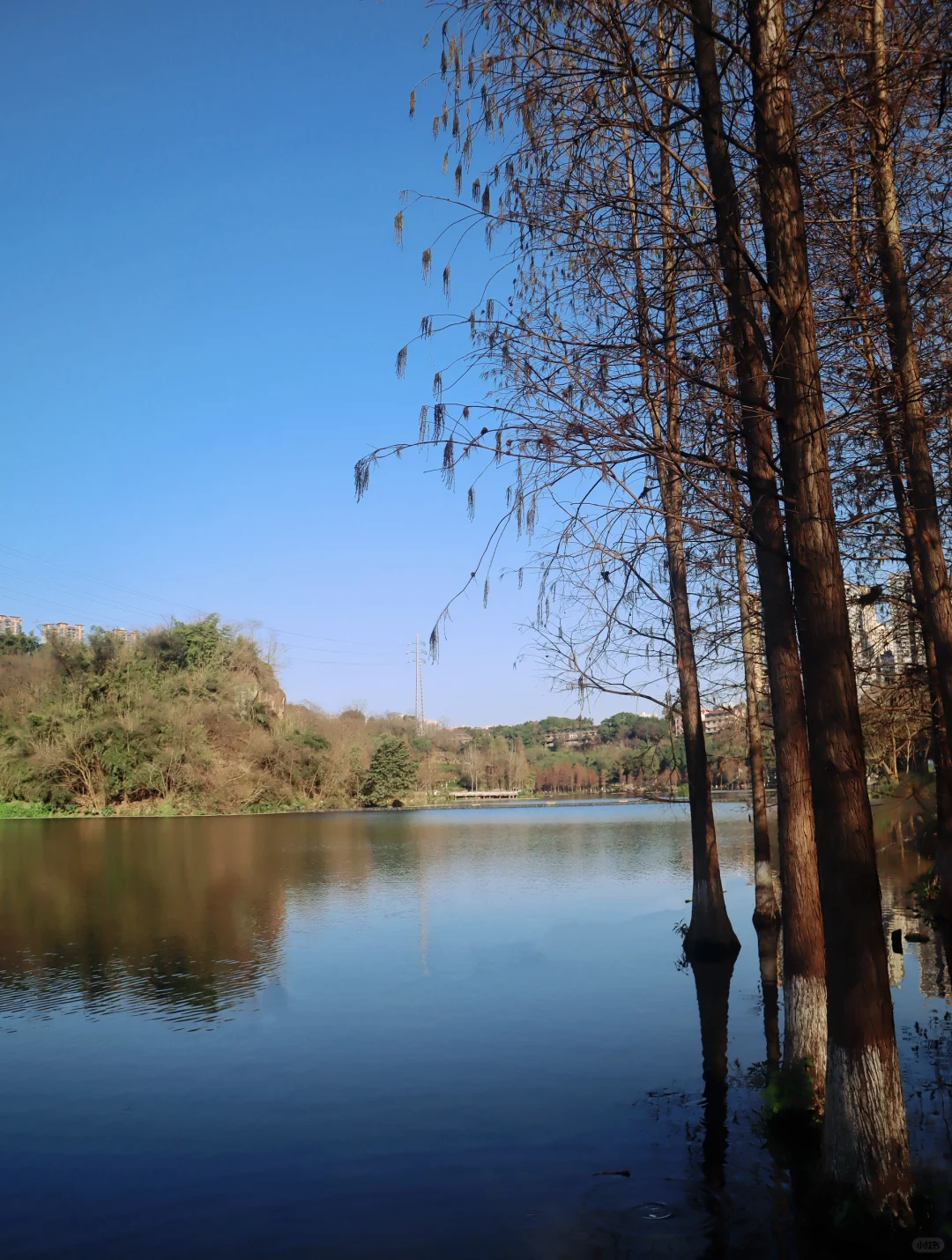 迷失在大自然中！这里～太美了！