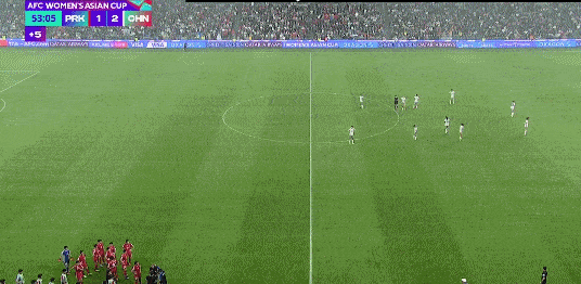 今天的女足亚洲杯小组赛最后一轮，来自越南的主裁判救了朝鲜队！
中国队王霜进球，助