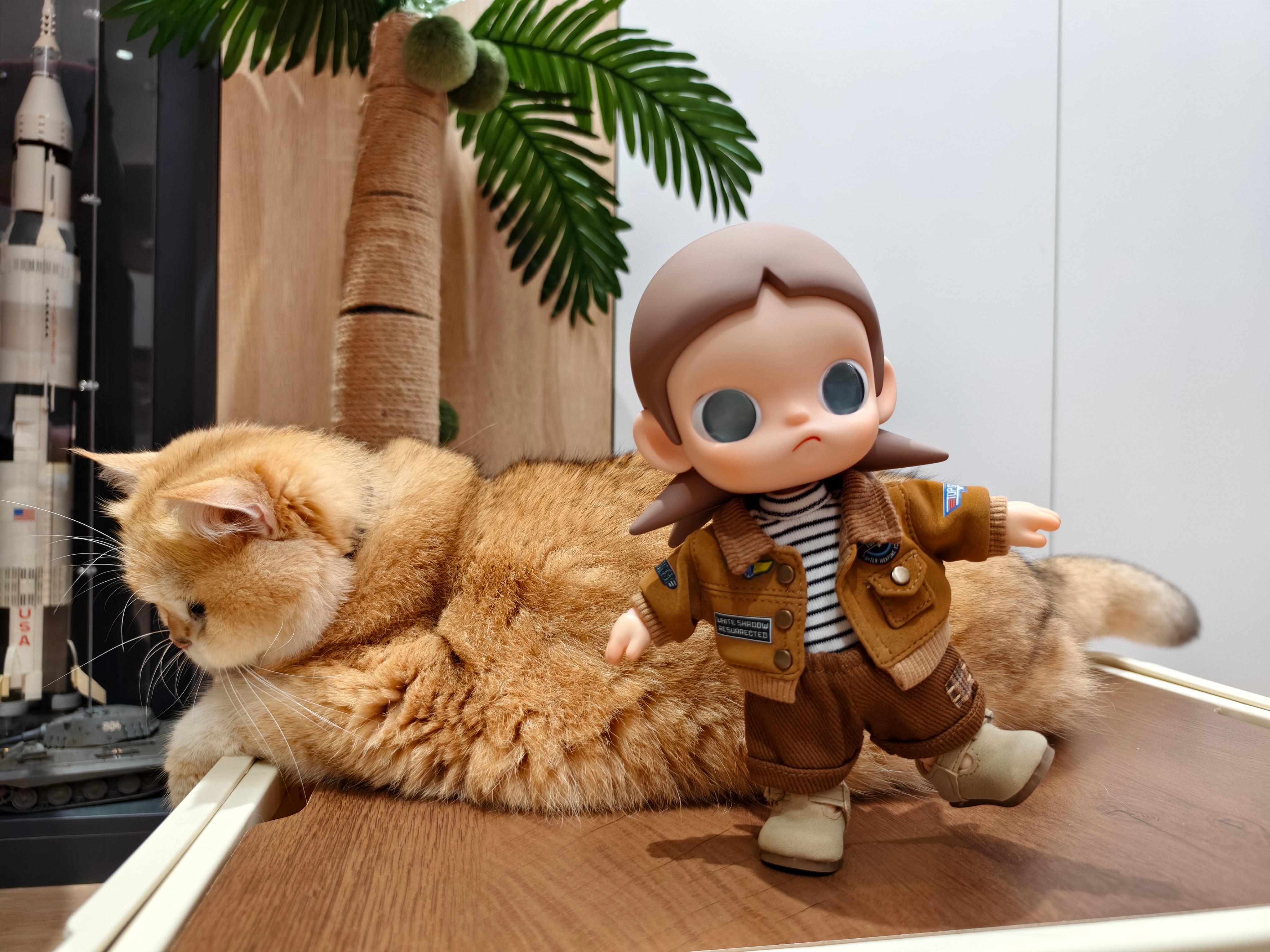 好不容易找到一个平衡点给嘎子姐摆了个单脚造型刚想拍照，有个小黄猫超霸道直接冲上来