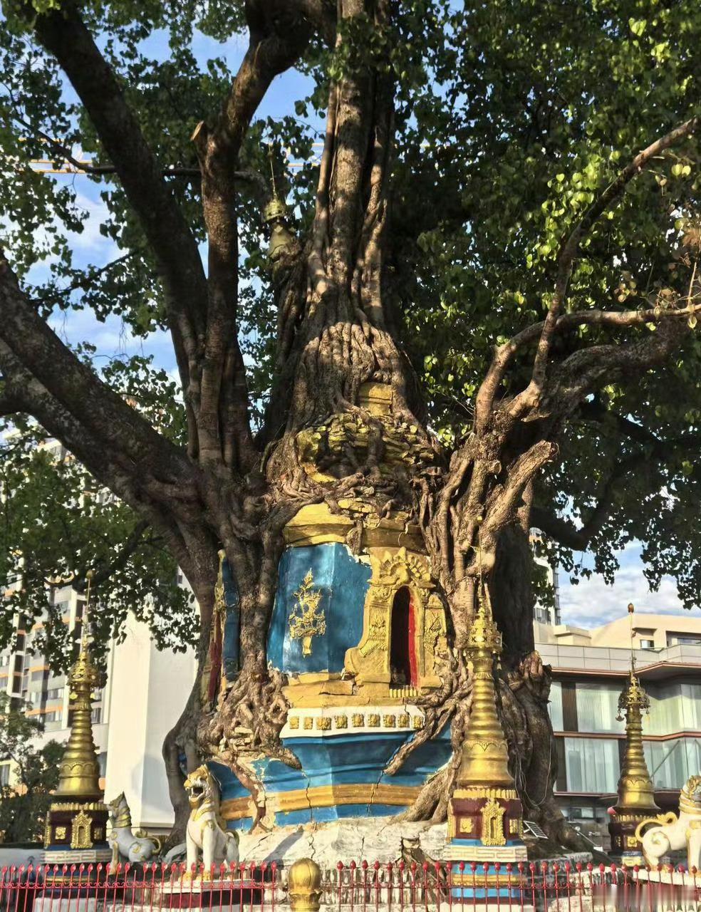 不敢想象一直错峰旅行能有多幸福避开人流高峰逃离拥挤喧闹，路上不堵车拍照无路人，花