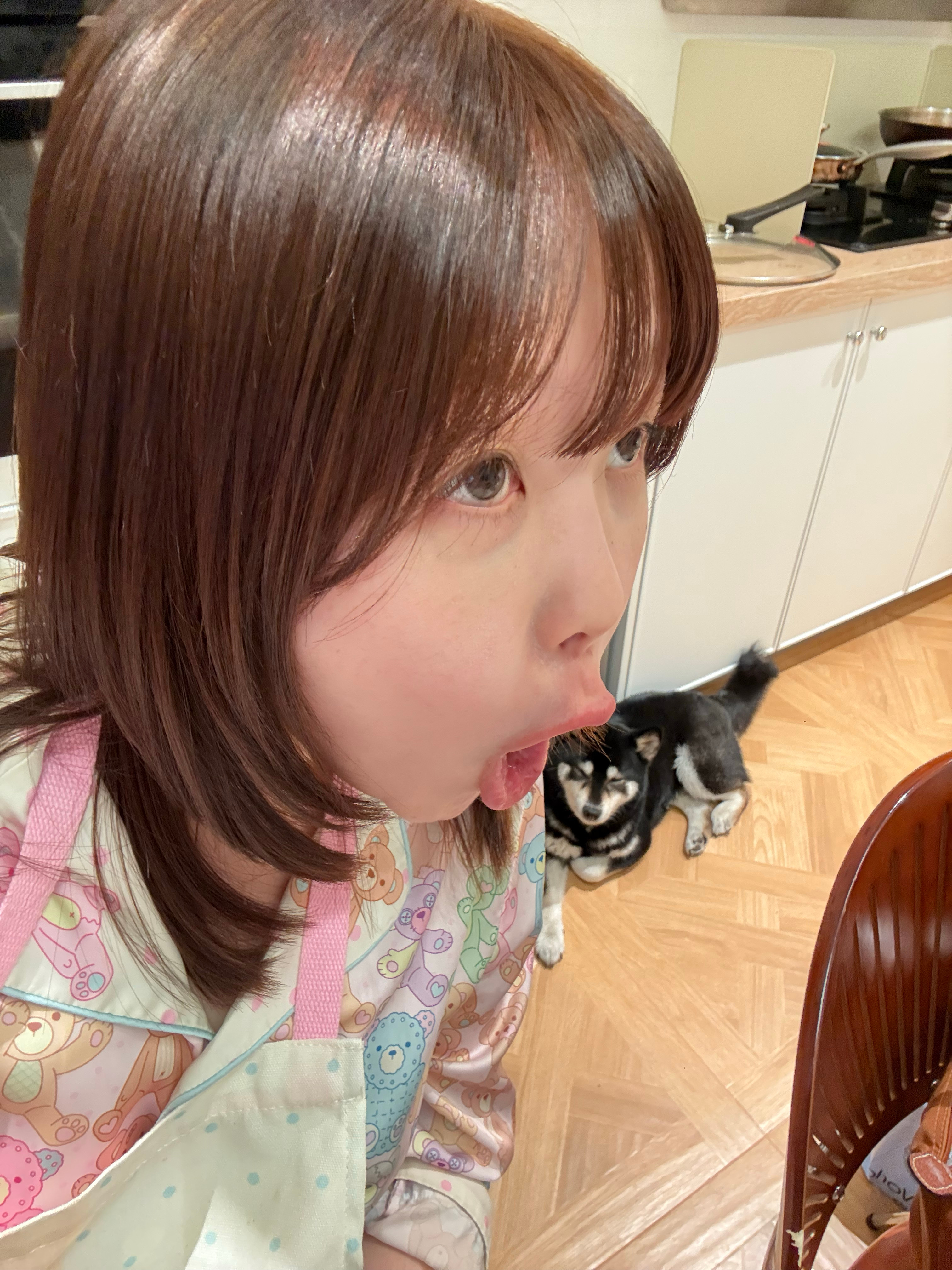 天天给小狗做AI视频反复观看