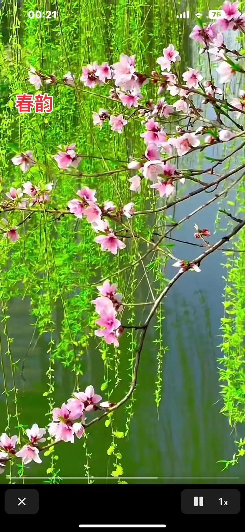 春天来了，万物复苏，朋友圈里又开始刷起了“春日生活打卡”的热潮。有人晒出晨跑的汗