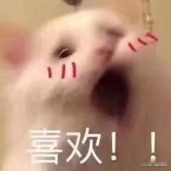 何为有志青年有志青年有没有标准答案 撕掉标签，拒绝定义！新时代的有志青年，可以是