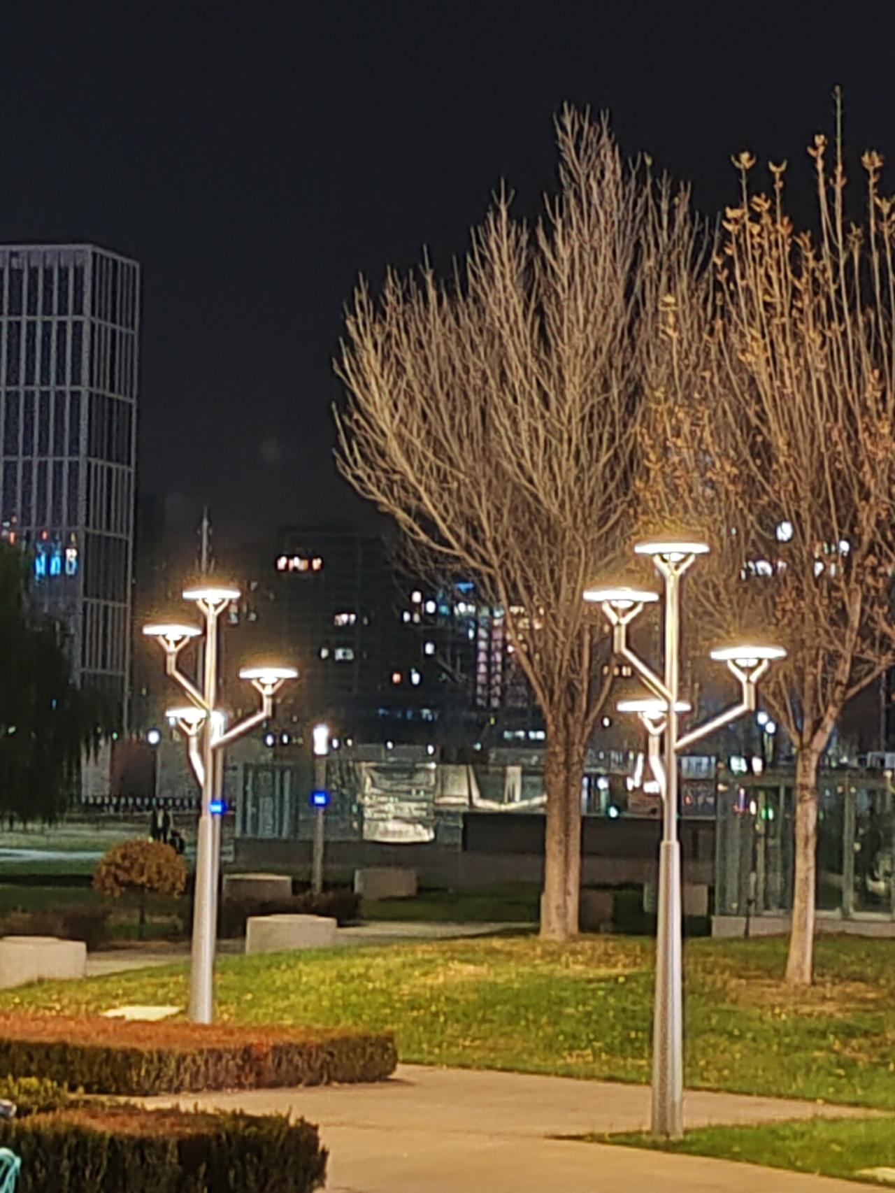 一张图证明冬天来了冬来叶辞树，徒留果挂枝。户外已觉冷，身上裹棉衣。