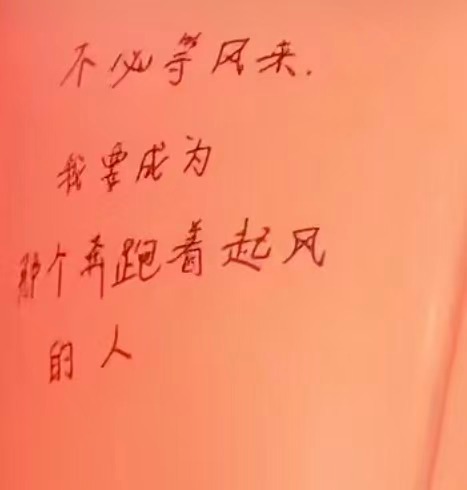 大女人发言：不必等风来，我要成为那个奔跑着起风的人。（不是姐写的字）刘诗诗就是一