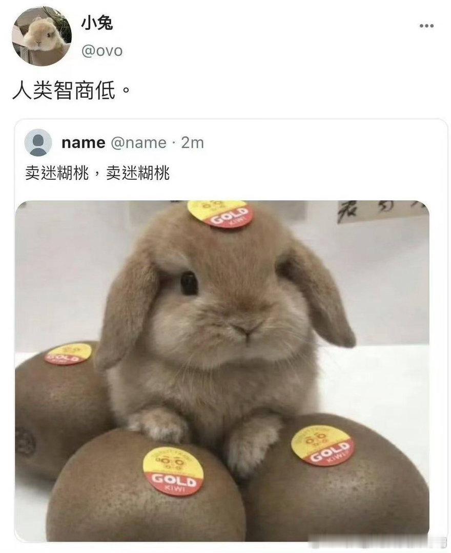 苏新皓 
