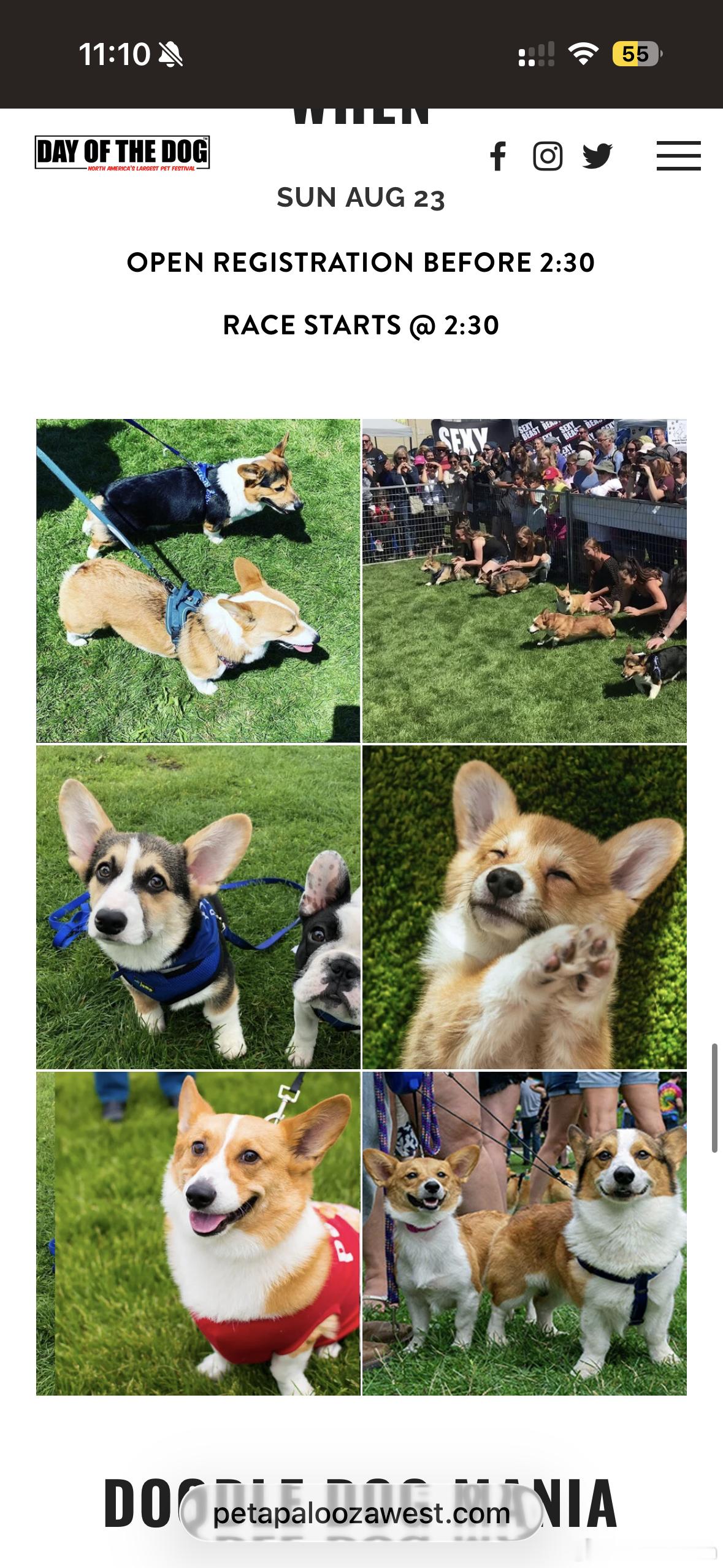 今年是温哥华一年一度的狗日子（Day of the dog）。会在市中心搭建狗狗