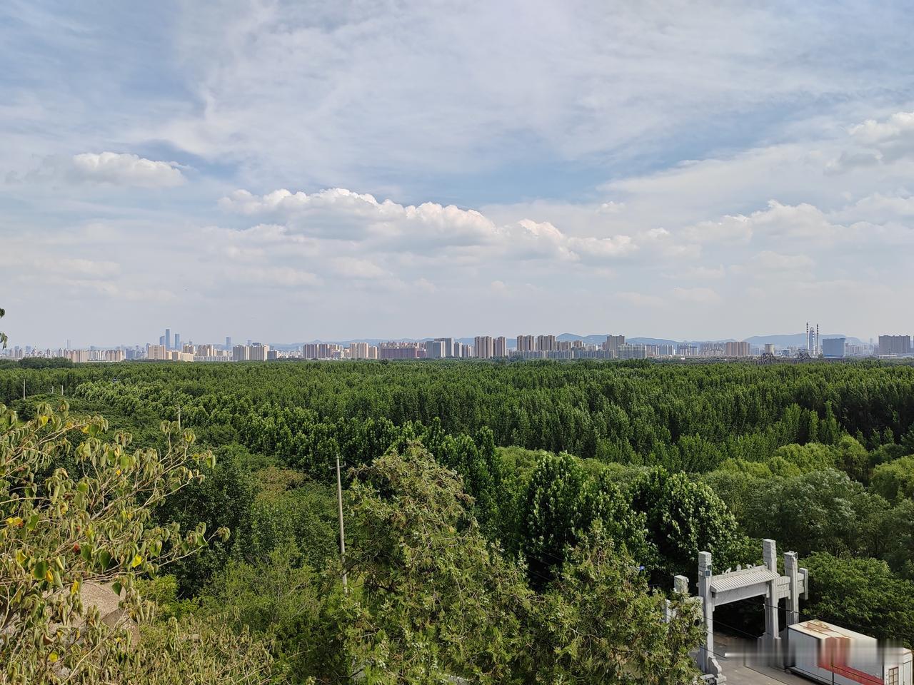 观鹊山有感
 
站在济南鹊山远眺，才懂这片土地独一份的奇妙。山体小巧低矮，周遭一