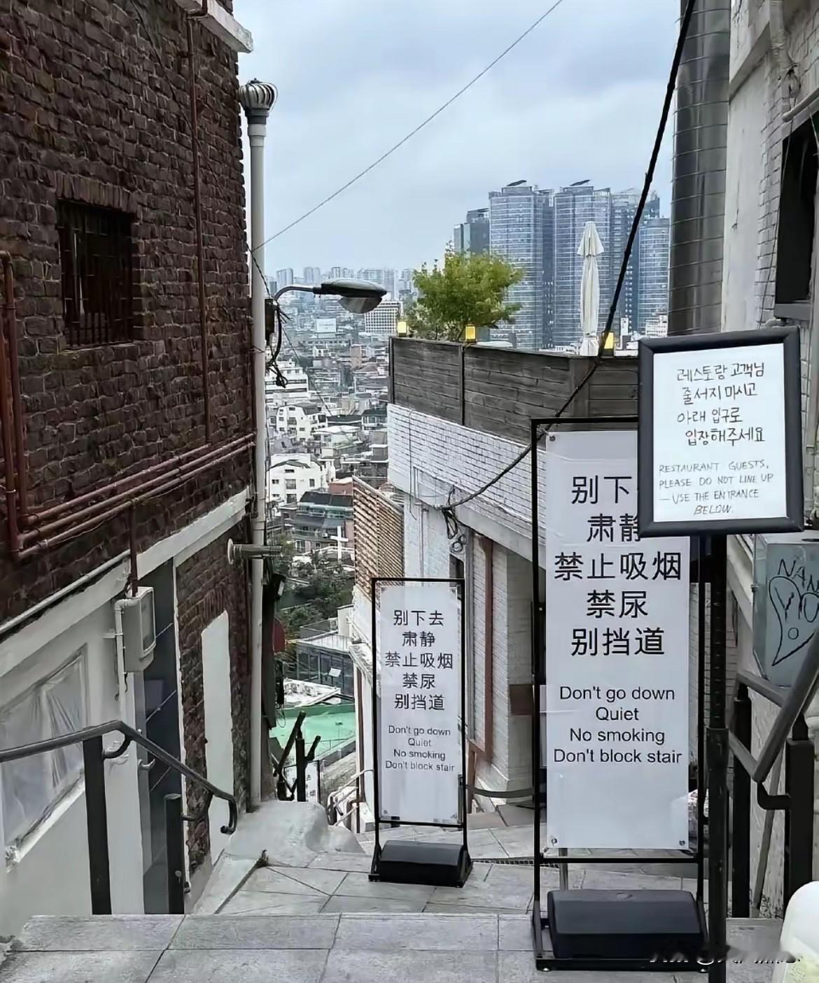 除了几位韩国女星，我对韩国实在没什么好感。
真没想到，竟然还有人去韩国旅游。
和