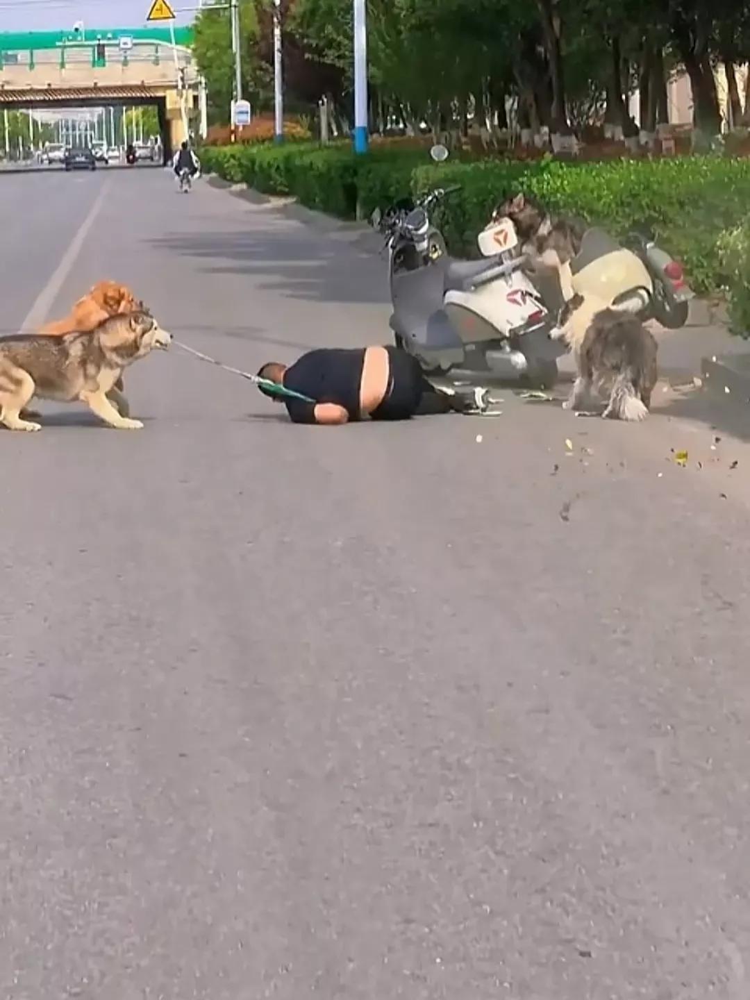 本来高高兴兴的带着狗狗出去玩，结果笑容转移到了路人的脸上。骑着无牌的偏三轮，带着