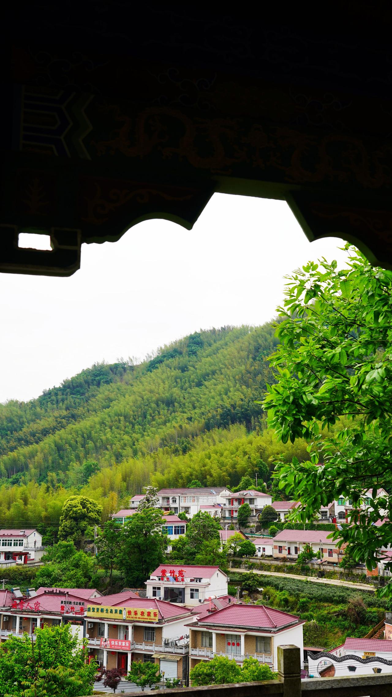 山林与古建筑 山景瓦房 仙居淡竹乡 仙居淡竹 青山绿树环绕的村庄