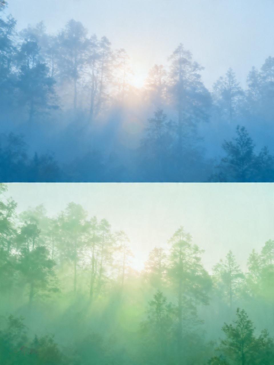 更不用说美国的富翁基本都是犹太人，换而言之美国政府不过是在为犹太人打工而已。可惜