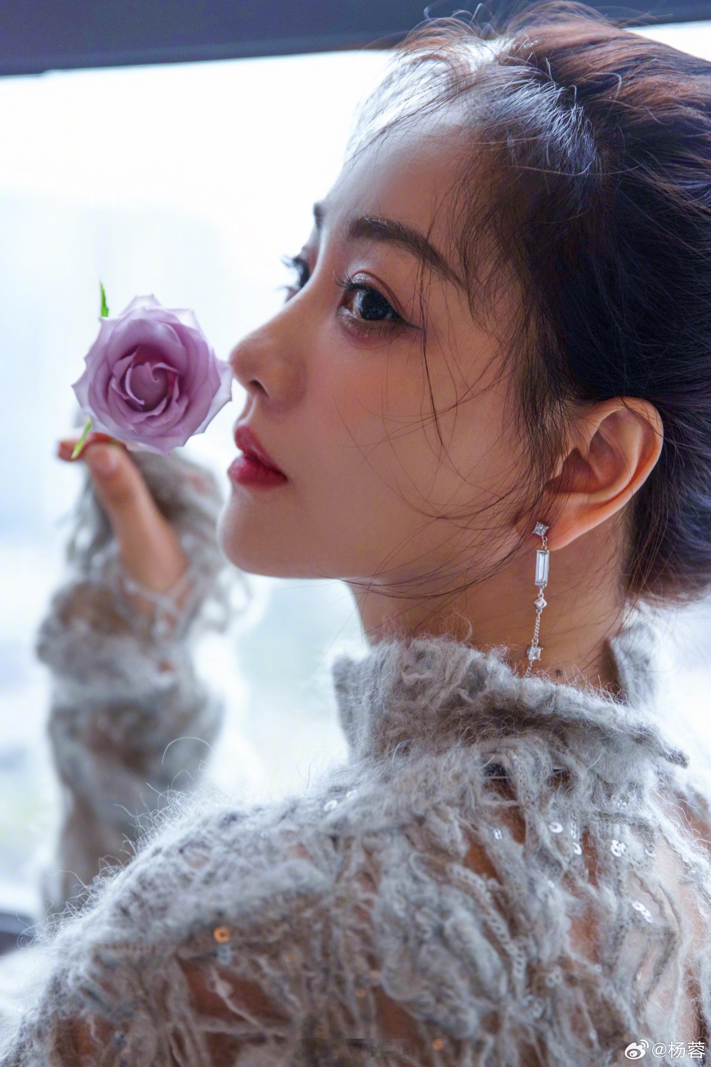 杨蓉 