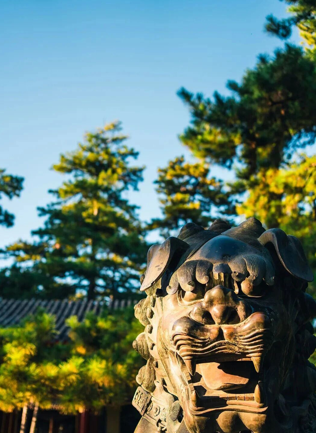 调候到底有多重要呢？第一个调候可以直接降低富贵的层次，有一些本来非常不错的八字，