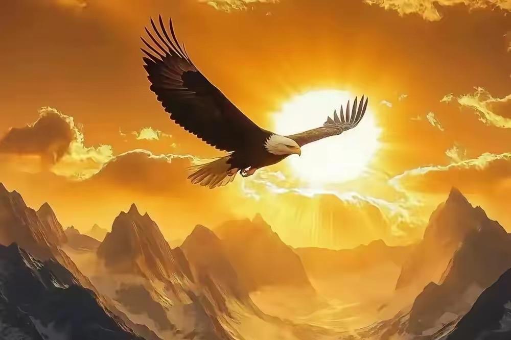 吹上天的美式反导 被伊朗直接打崩

     美式反导神话彻底翻车。号称全球最强