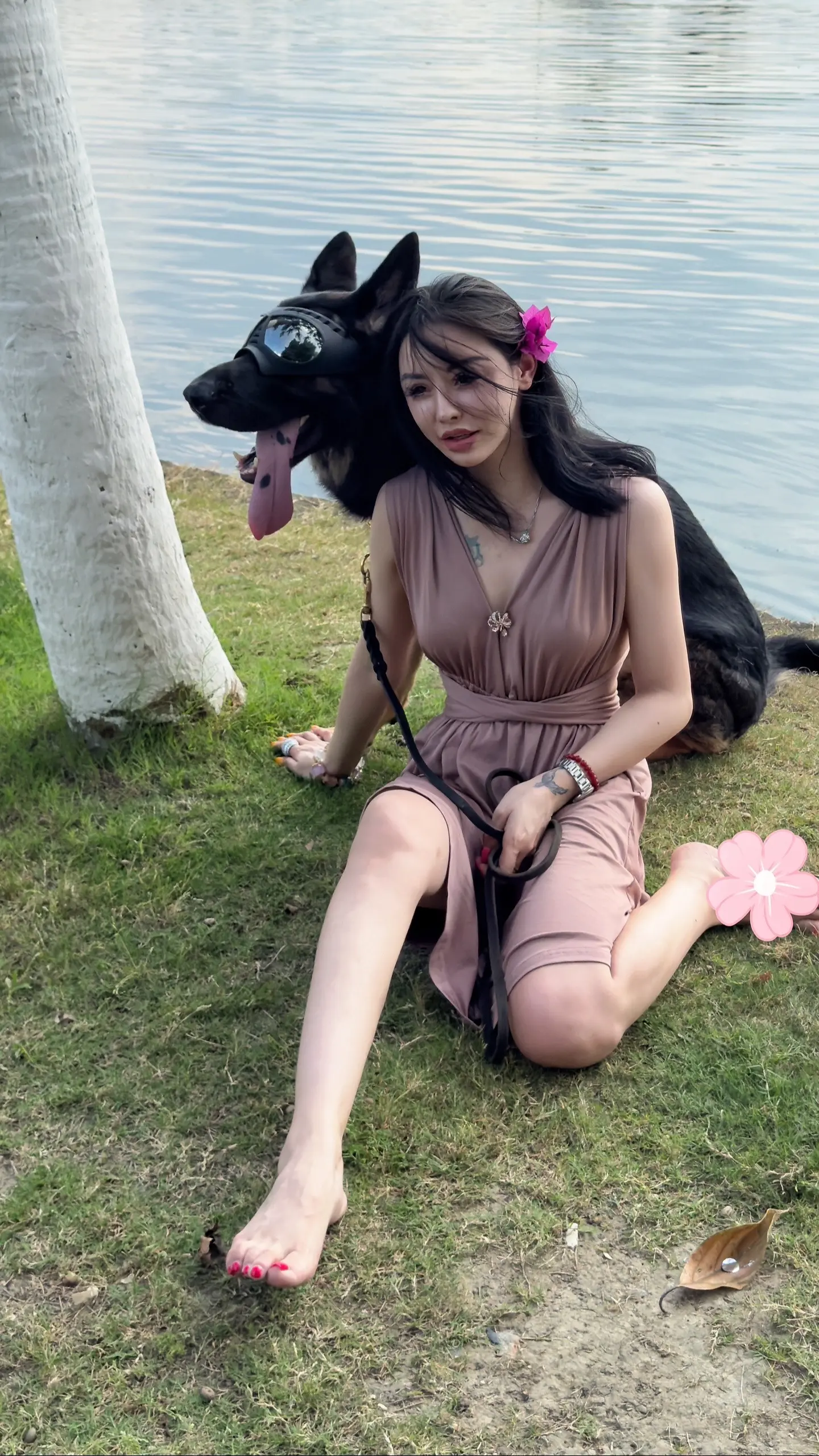 【德牧·巴克】夏天·