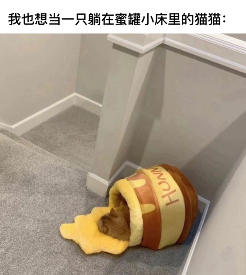 我的梦想#今日memes# //#新年快乐漫游指南# //#转发接龙开新年# ​