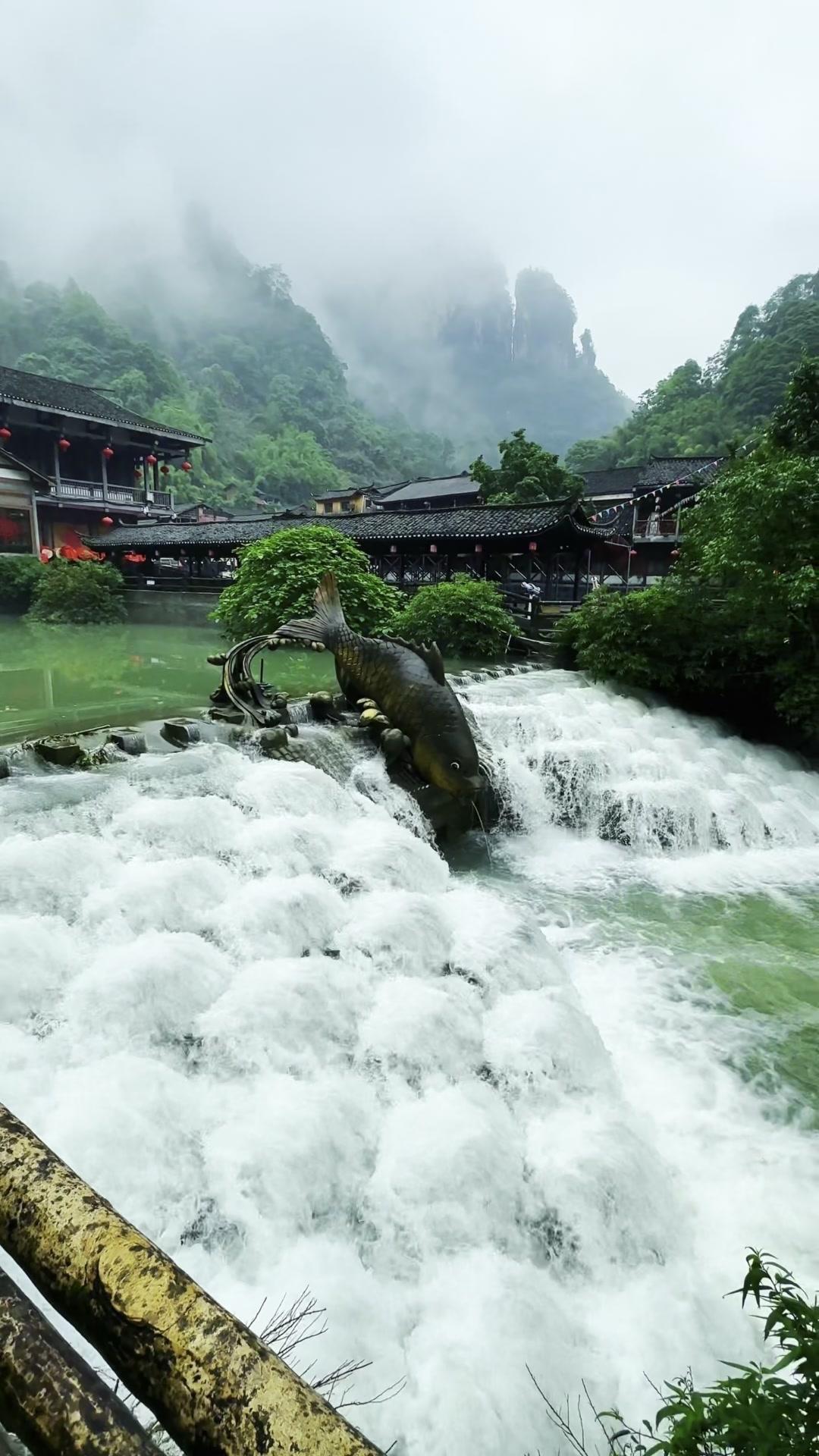 一听到这首带着山野气息的旋律，就忍不住想奔向大自然。风吹过山林的声音，树叶沙沙作