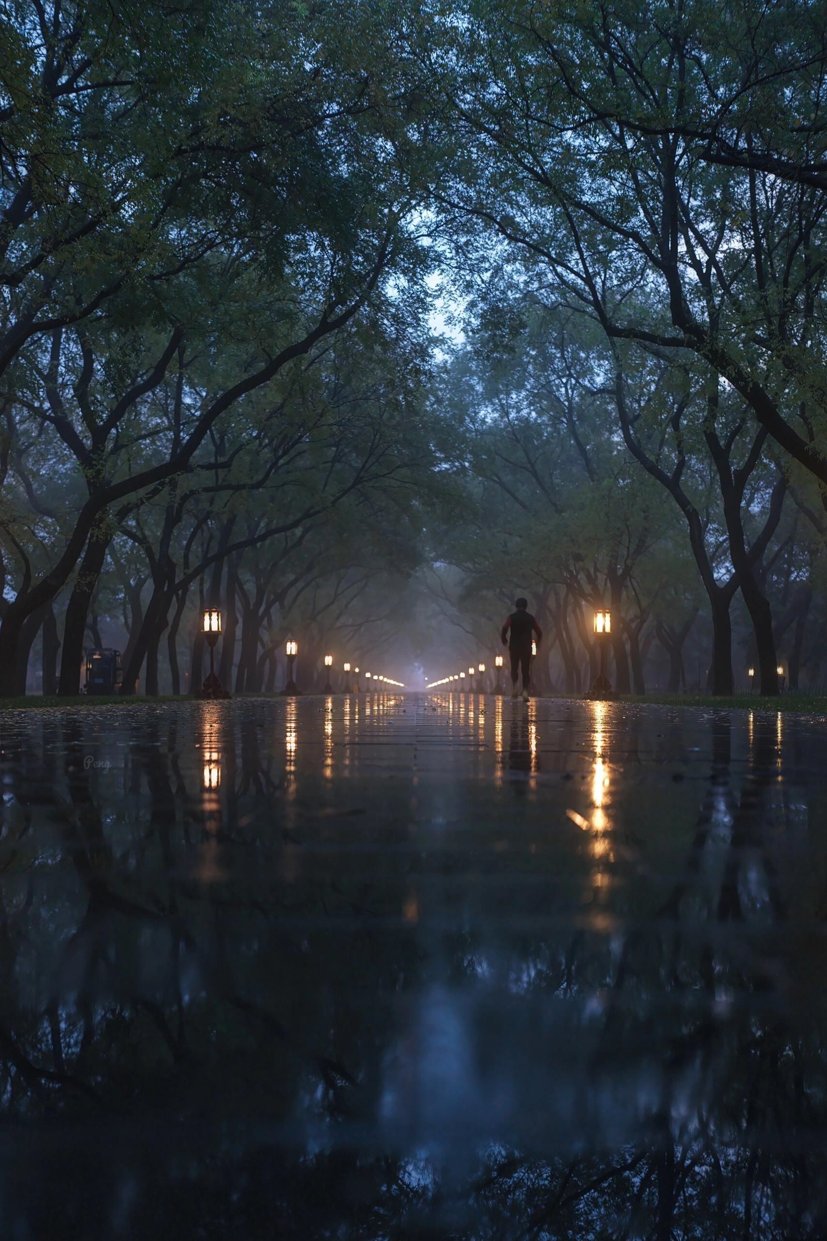 雨中的天坛也太有氛围了 
