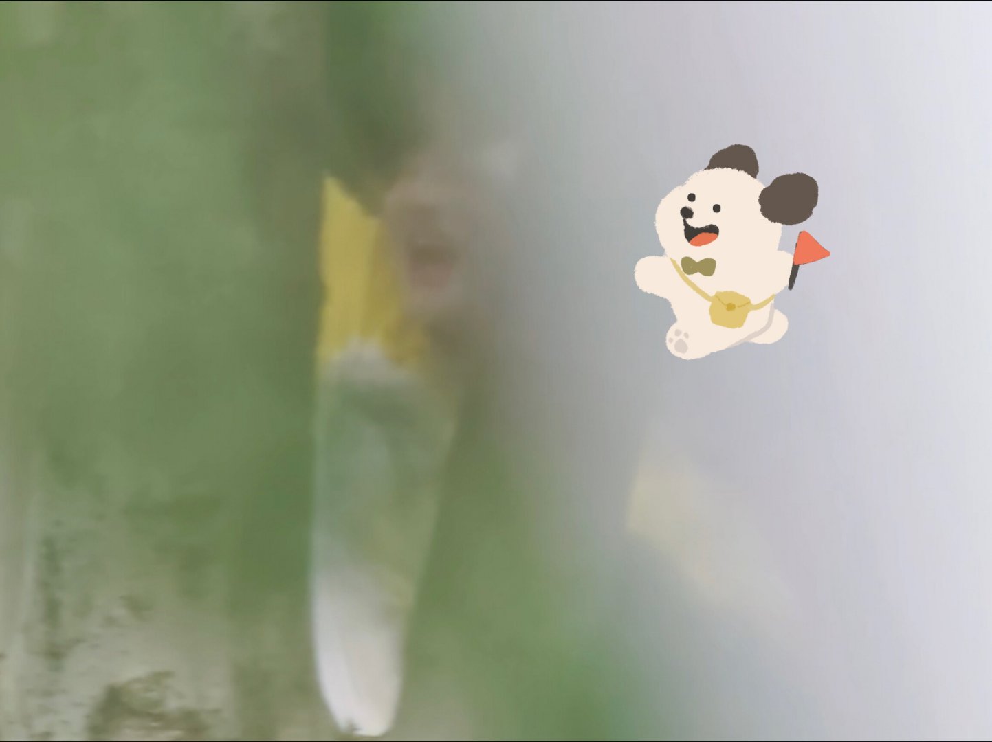 天呐宝宝高糊图图也挡不住的萌