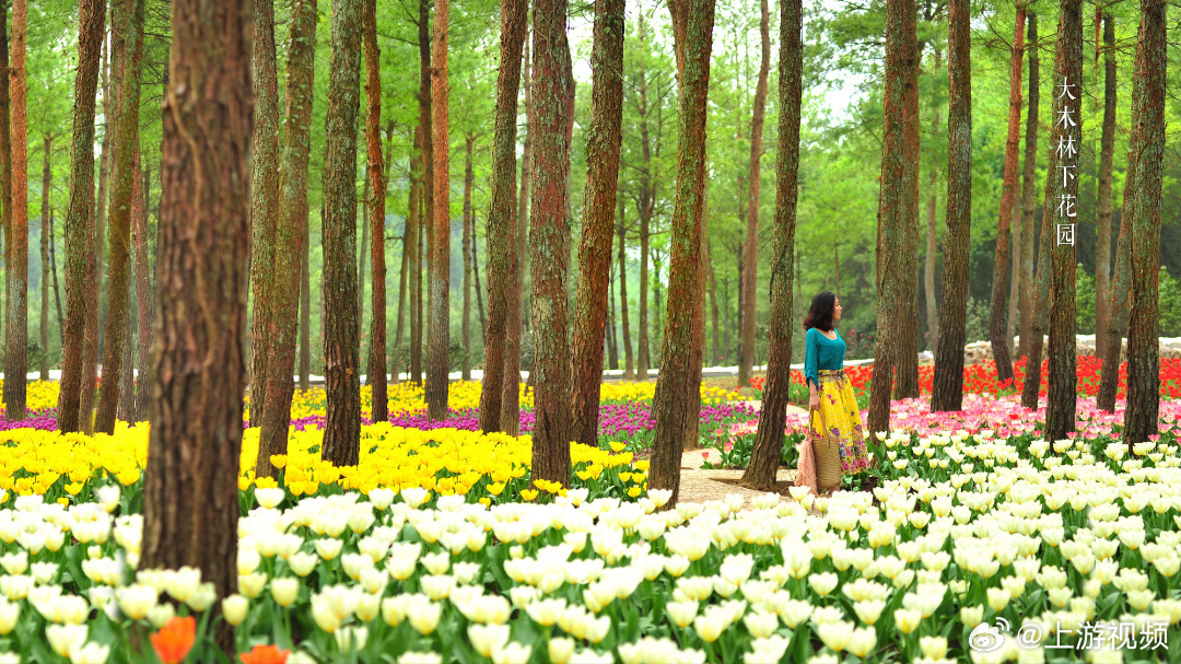 #五一到重庆武陵山感受四季变化#【五一向山野！武陵山这条81.6公里的环线，“来