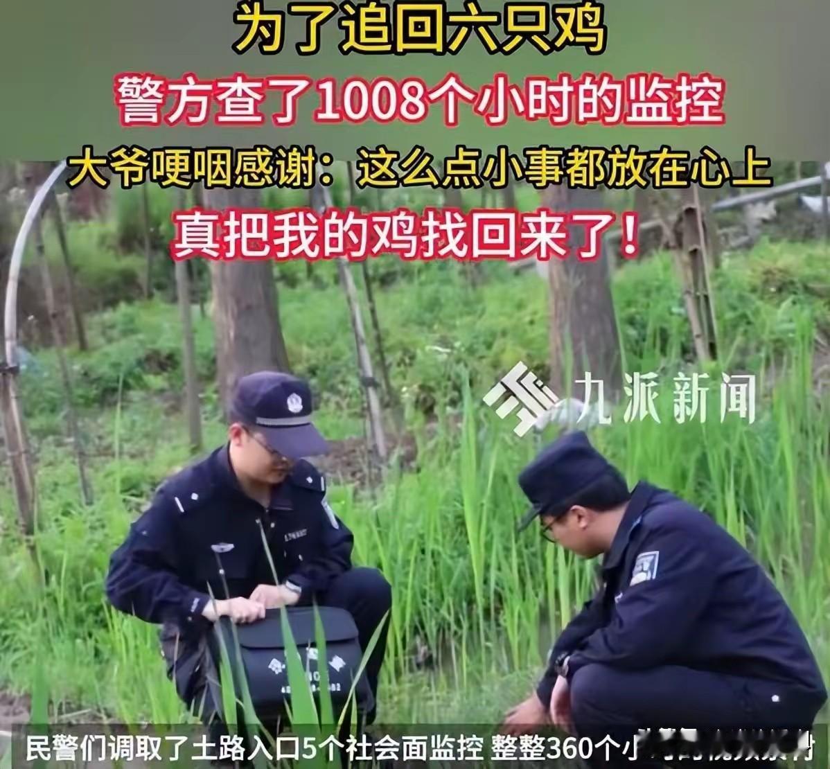为6只土鸡追1008小时监控：这桩“小事”里藏着最暖的人间烟火
 
浙江临海的一