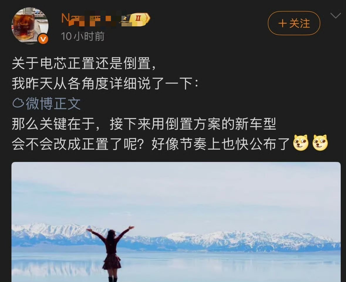 大家不用奇怪，就是这位哥说导流管是电芯倒置迭代技术 