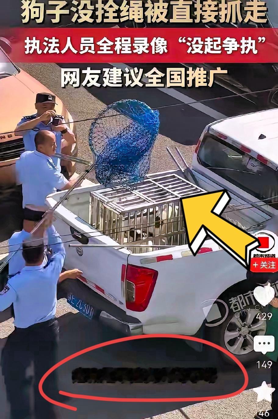 苏州有关部门，正在清理大街上没有拴绳的宠物狗，“不牵绳按野狗处理”的硬核执法给全