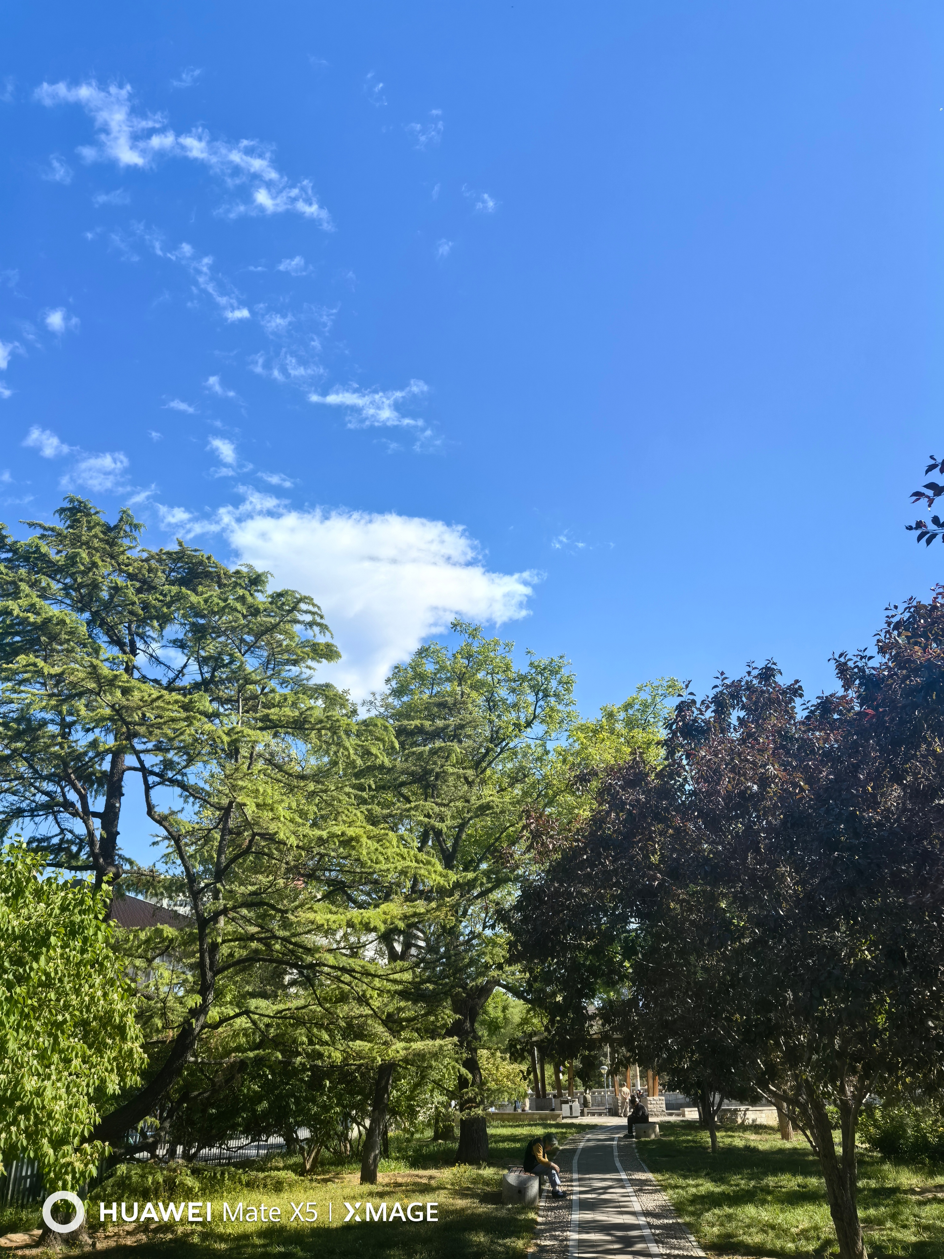最美的天空