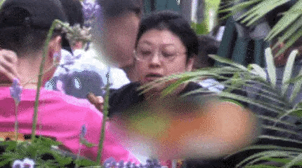 基金会以韩红个人名字命名，但韩红本人多年没有大额持续自捐，韩红基金会2025年7