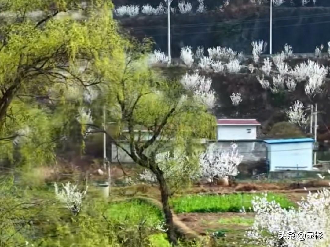 小时候享受年味，长大了制造年味。
我亲戚的一个女儿，在外打工已经多年没回家过年，