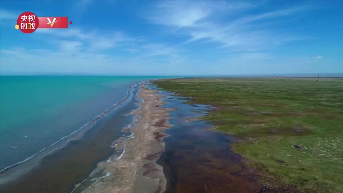 这大概算是人类保护青海湖得到的现实回报。近年青海湖水位抬升，湖面比黄河上游龙羊峡