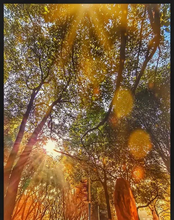 别吹“电视剧没人看了”，2018年有部剧，白天在卫视夺冠，晚上在网络刷屏30亿次