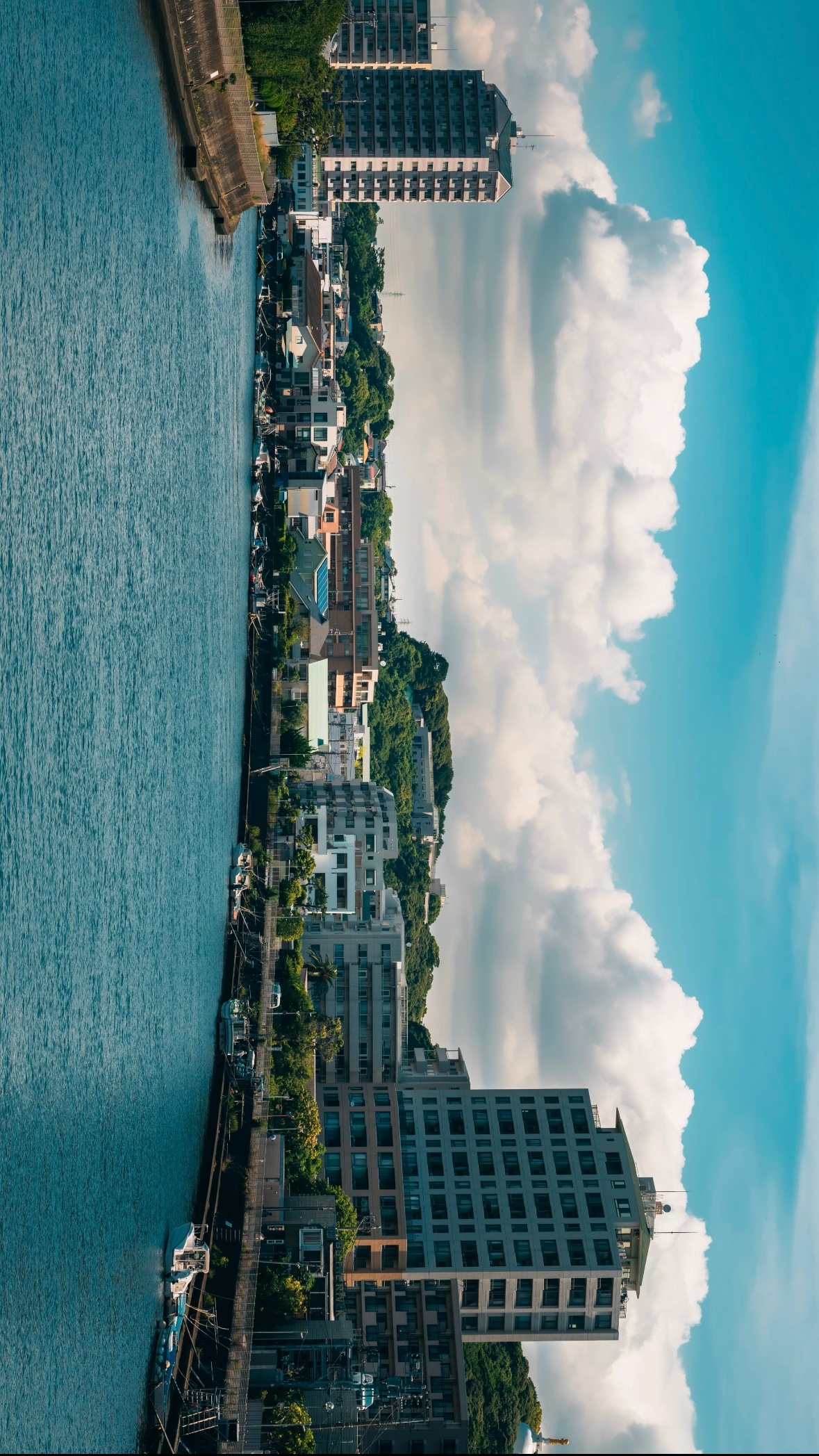 海风中掺杂着的，是青涩味的蓝 