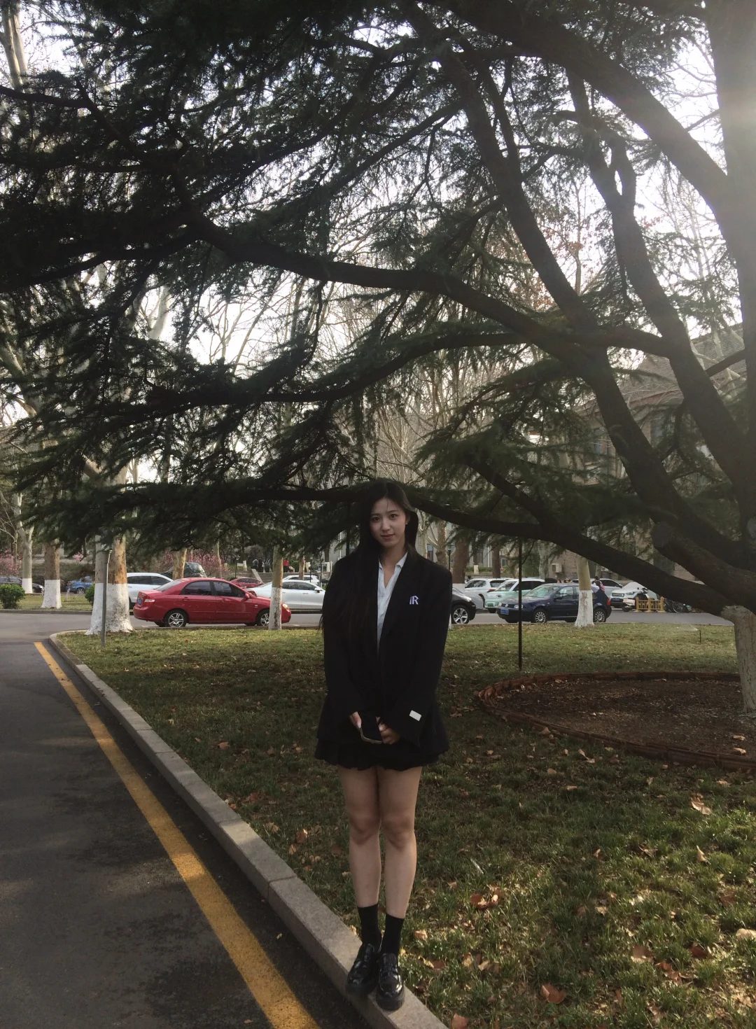 树会知道春的来意