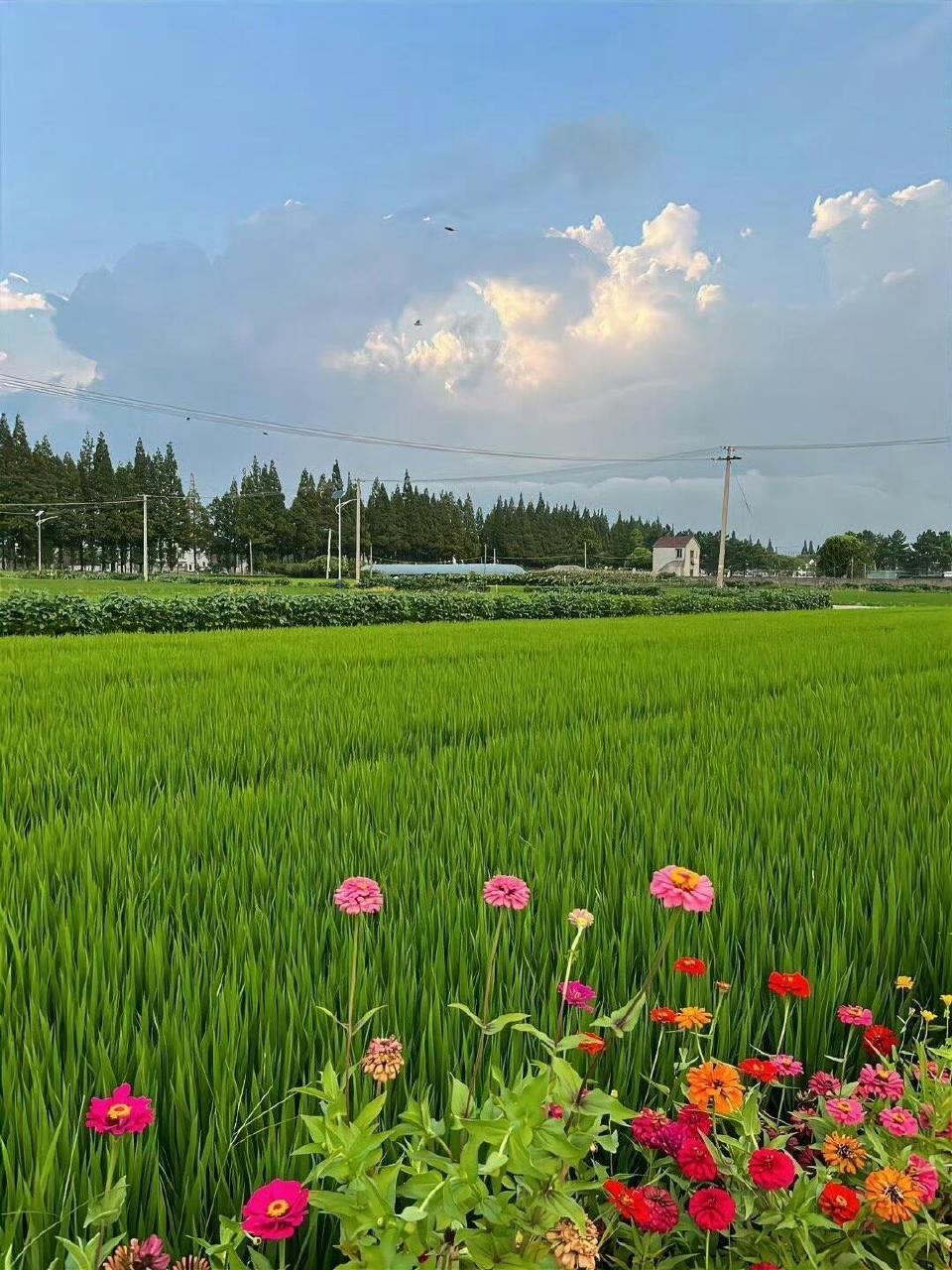 早上好！ ​​​