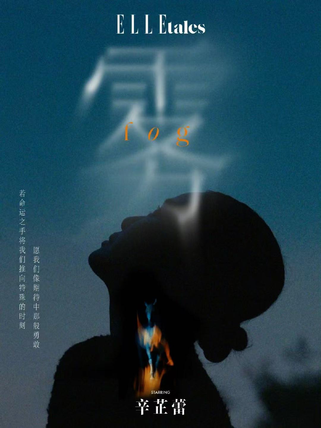 辛芷蕾用行动去证明作为演员的价值辛芷蕾去拿奖并且不止一个 ​辛芷蕾用行动去证明作